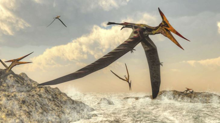 The Majestic Soar: Unraveling the Tale of Teradactyl
